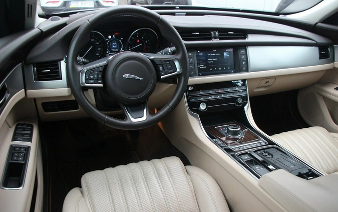 Jaguar XF cena 125990 przebieg: 23000, rok produkcji 2018 z Łasin małe 781